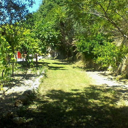 The Country Path B&B Toffia מראה חיצוני תמונה