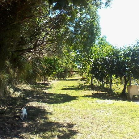 The Country Path B&B Toffia מראה חיצוני תמונה