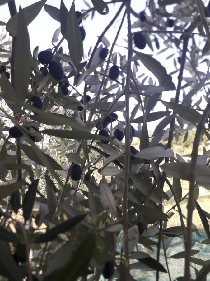 The Country Path B&B Toffia מראה חיצוני תמונה