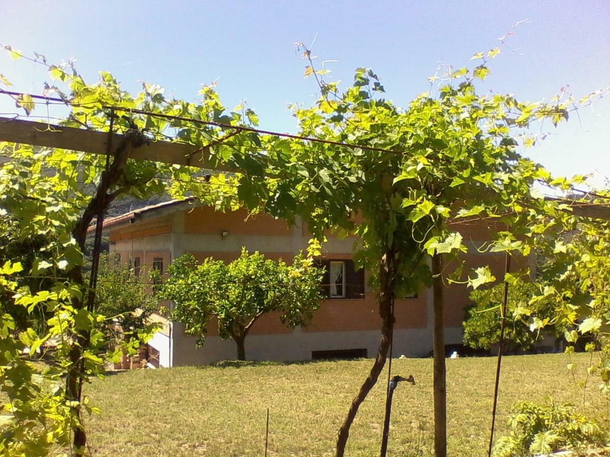 The Country Path B&B Toffia מראה חיצוני תמונה