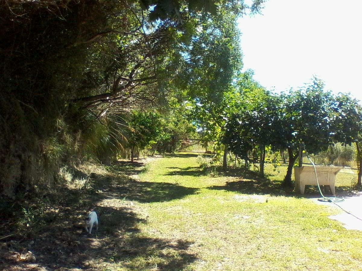 The Country Path B&B Toffia מראה חיצוני תמונה
